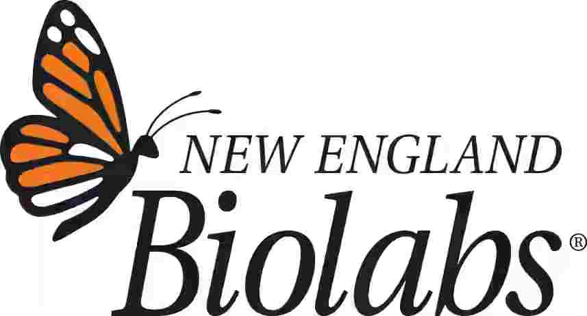 New England Biolabs supports iDEC 2025!